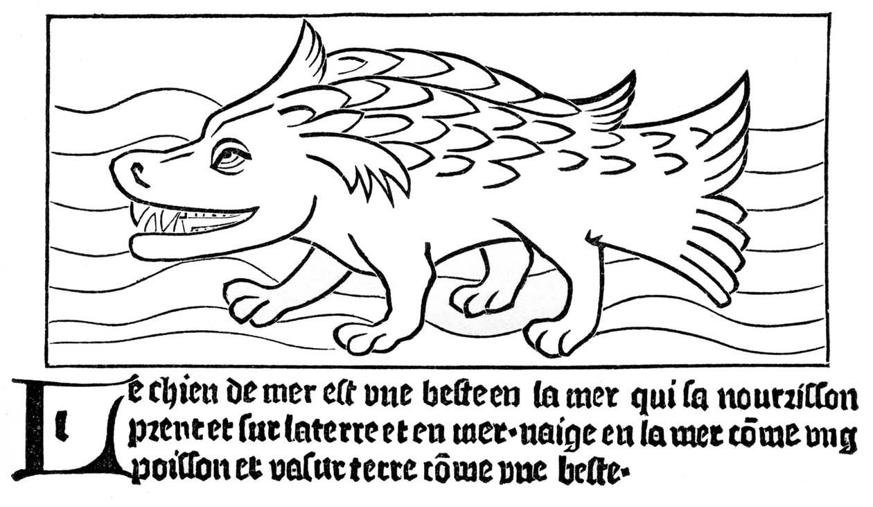 "O cão-mar de French School