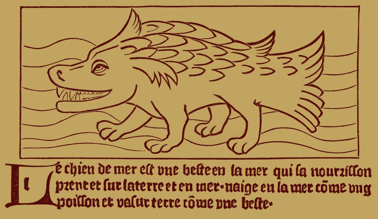 "O cão-mar de French School