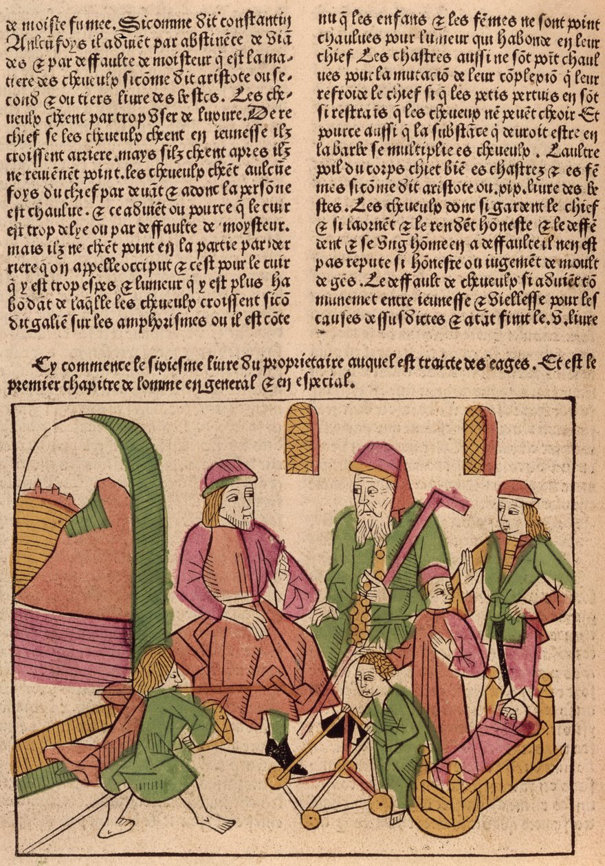 Os Estágios da Vida, do Livro das Coisas de Barthelemy English, 1485 (cor xilogravura) de French School