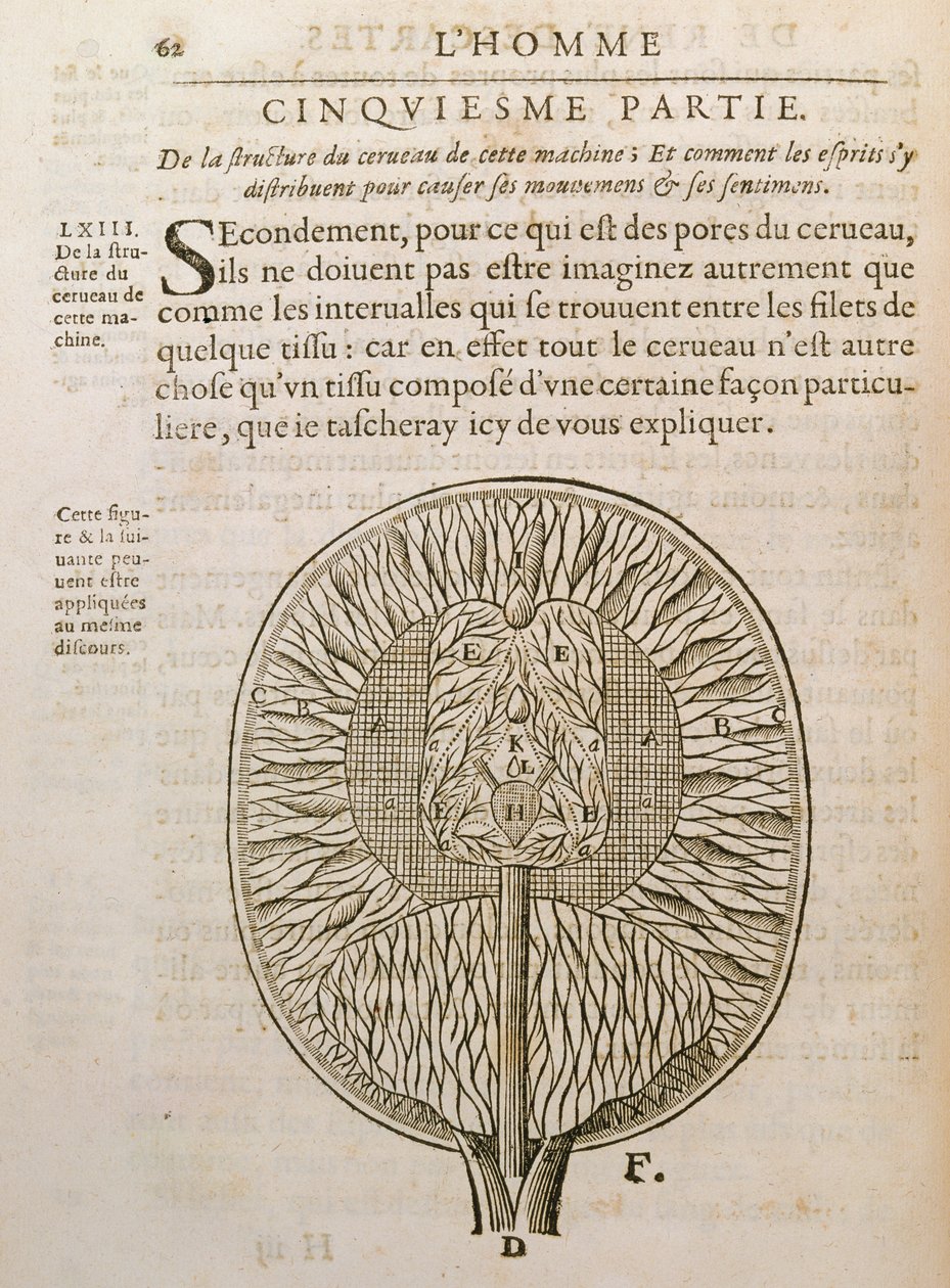 A estrutura do cérebro, de De Homine Figuris, de René Descartes (1596-1650), publicada em Haia, 1662 de French School
