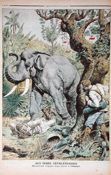O fim trágico de uma caça ao elefante na Índia, ilustração do Le Petit Journal, 25 de novembro de 1906 de French School