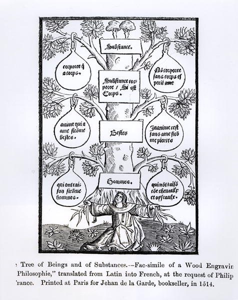 A Árvore dos Seres e Substância, impressa em 1514, ilustração da Ciência e Literatura da Idade Média e Renascença, escrita e gravada por Paul Lacroix, 1878 de French School