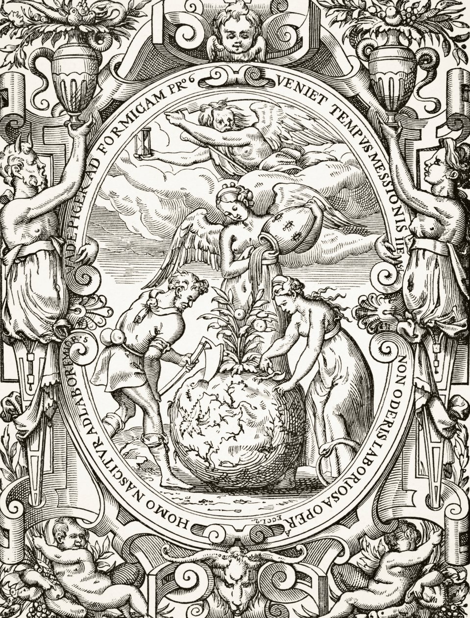O reino vegetal, da ciência e literatura na Idade Média por Paul Lacroix (1806-84) publicou Londres 1878 de French School