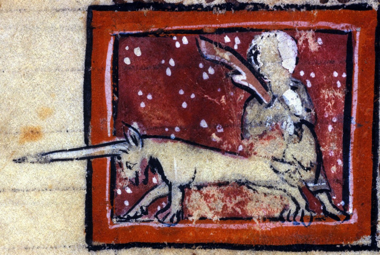 A Virgem e o Unicórnio (Unicórnio) - bestiário francês do século XIV. Milão, Biblioteca Trivulziana. de French School