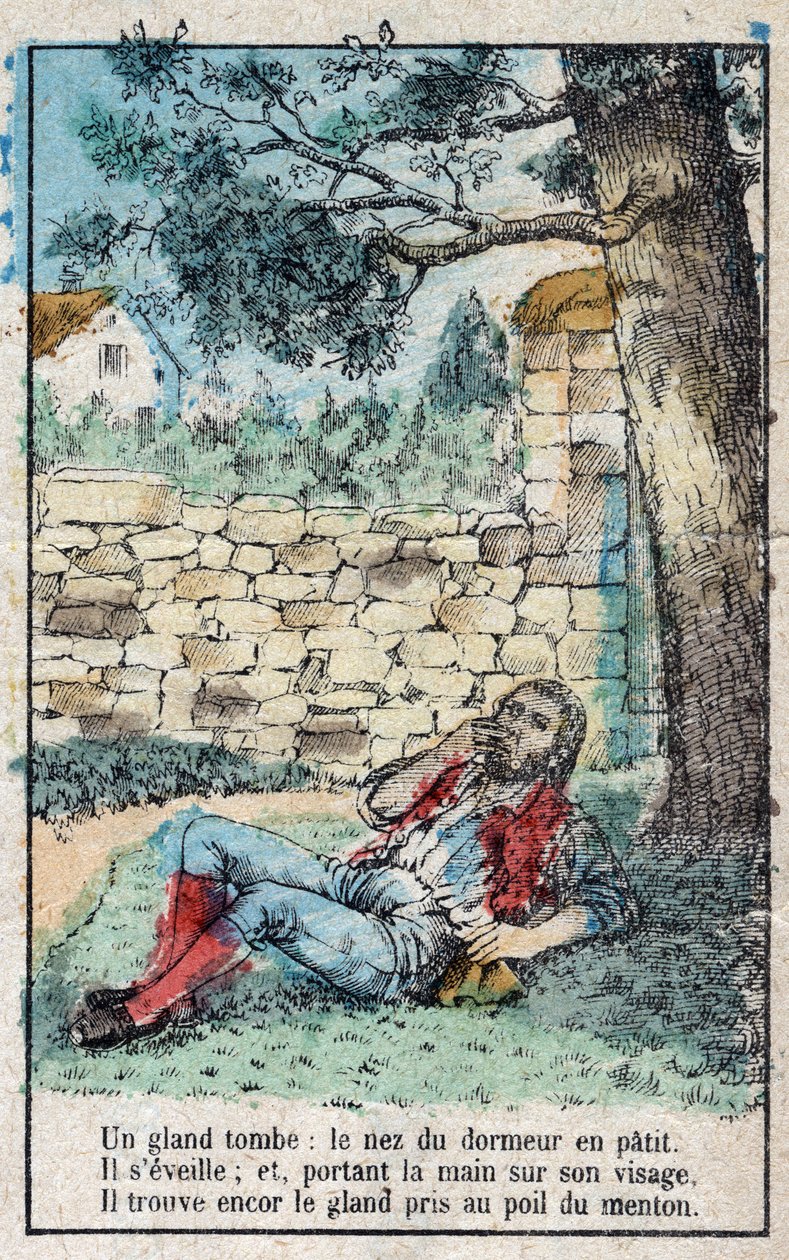 A bolota e a abóbora. Fábulas de Jean de La Fontaine (1621-95), imagens da Epinal do final do século XIX. de French School