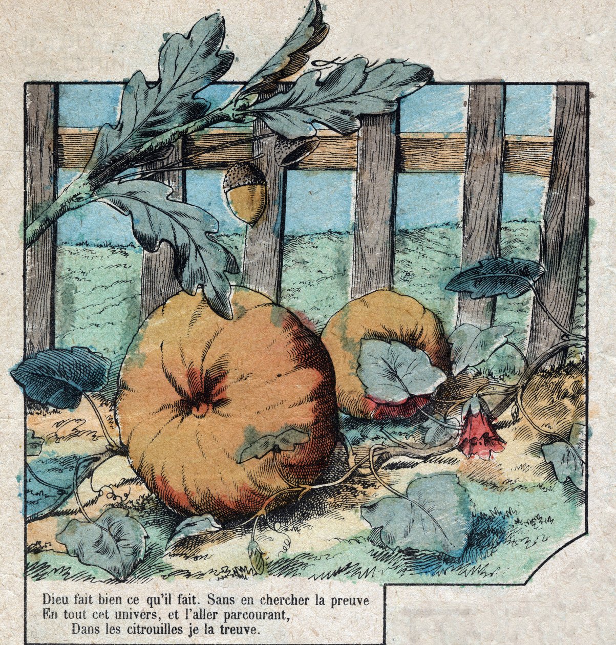 A bolota e a abóbora. Fábulas de Jean de La Fontaine (1621-95), imagens da Epinal do final do século XIX. de French School