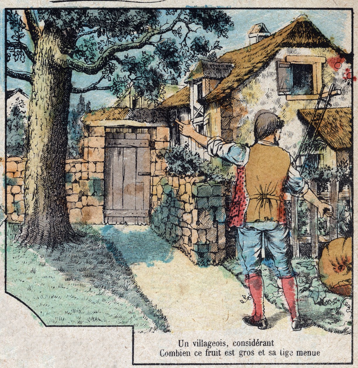 A bolota e a abóbora. Fábulas de Jean de La Fontaine (1621-95), imagens da Epinal do final do século XIX. de French School