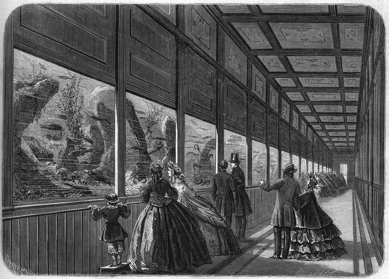 O aquário do jardim de aclimatação de Paris em 1863. de French School