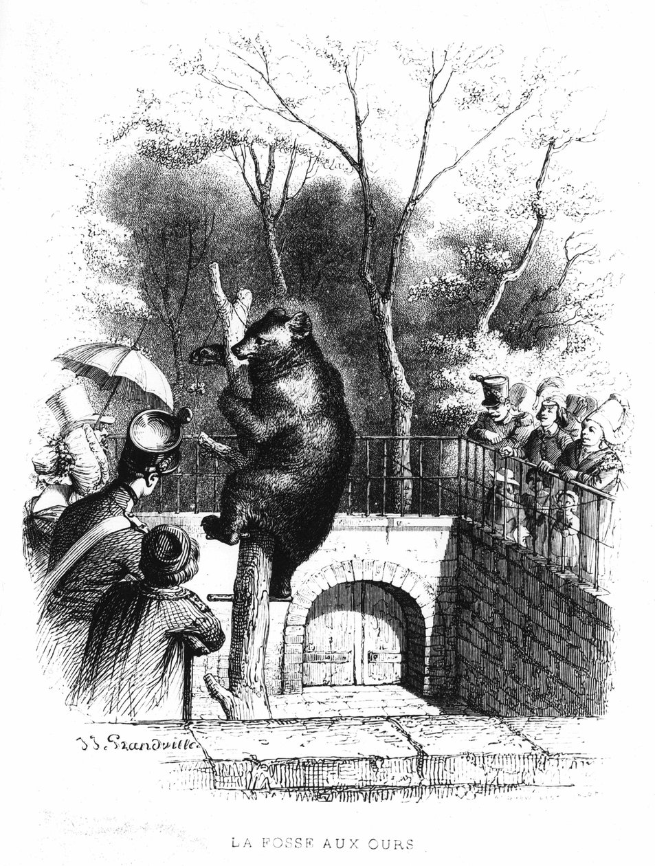 A cova do urso do jardim das plantas em Paris - gravura de French School