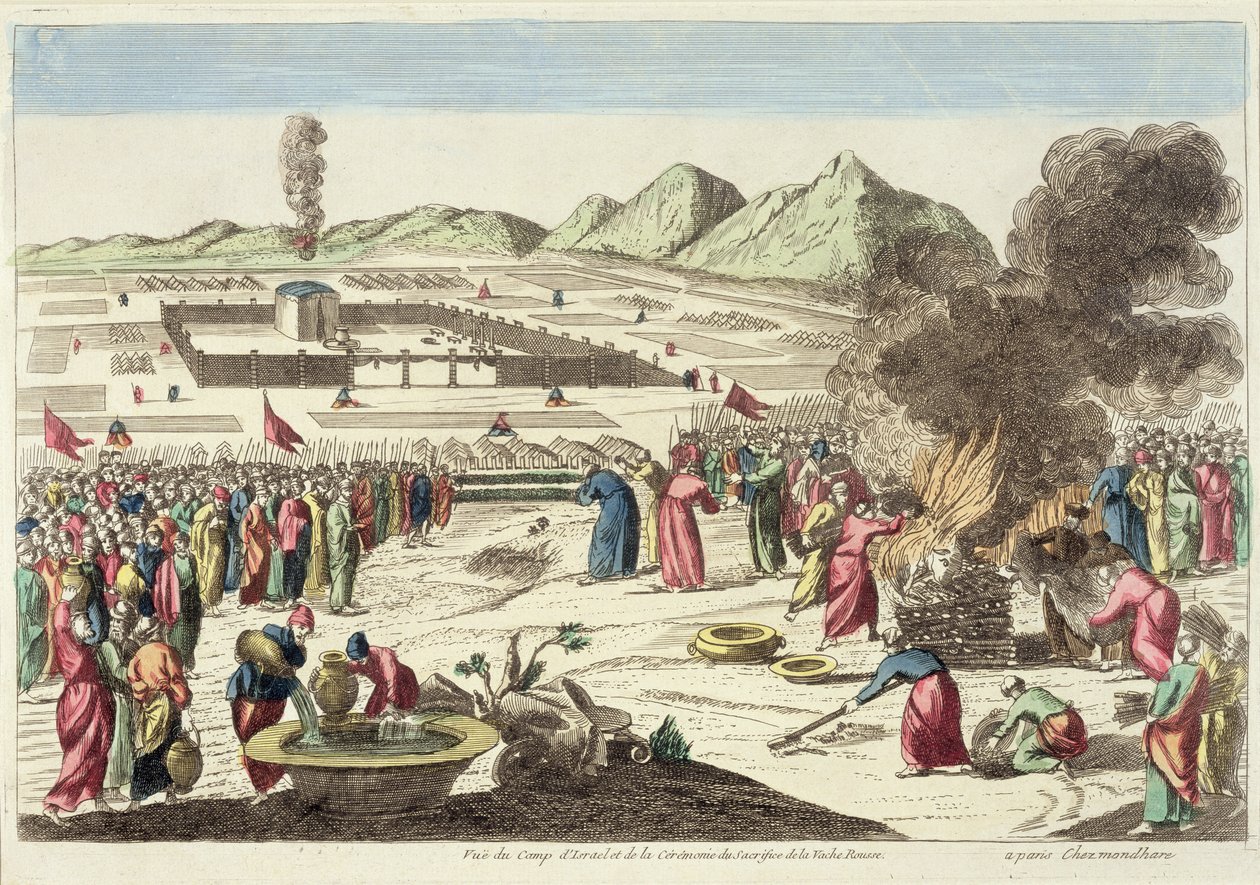 O acampamento dos israelitas e o sacrifício da vaca vermelha (gravura a cores) de French School