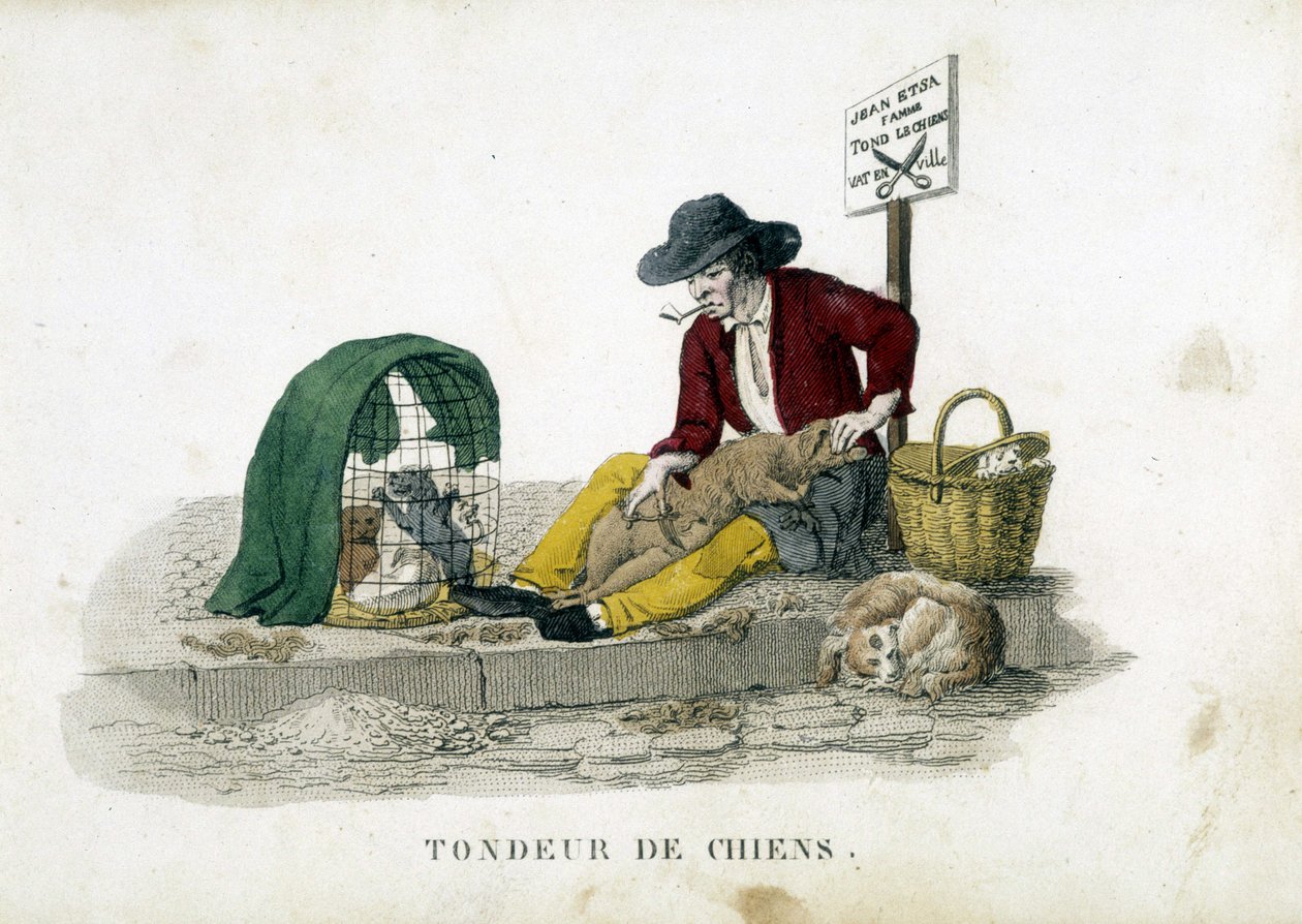 O cortador de relva para cães de French School