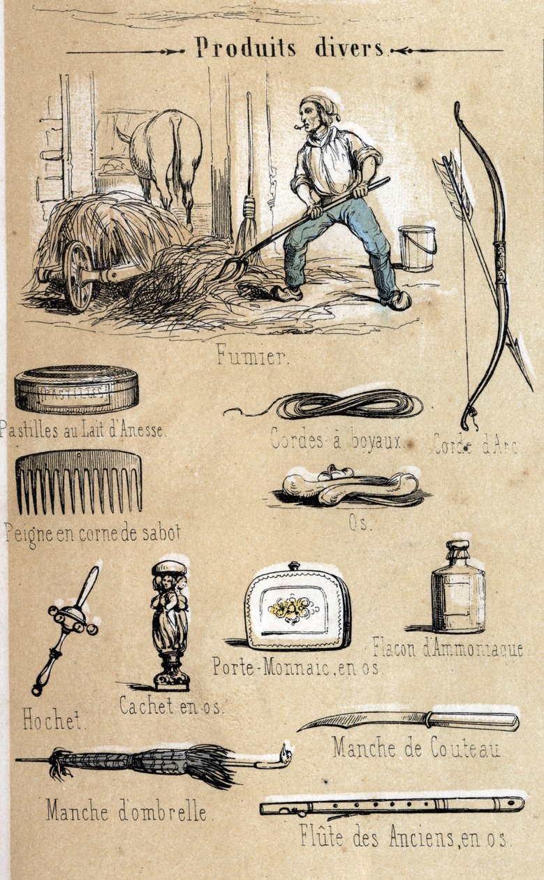 O burro e seus produtos gravados a partir de 1860 em "the instructive Recreations" Pintura sinóptica de Jules DELBRUCK. Coleção particular. de French School