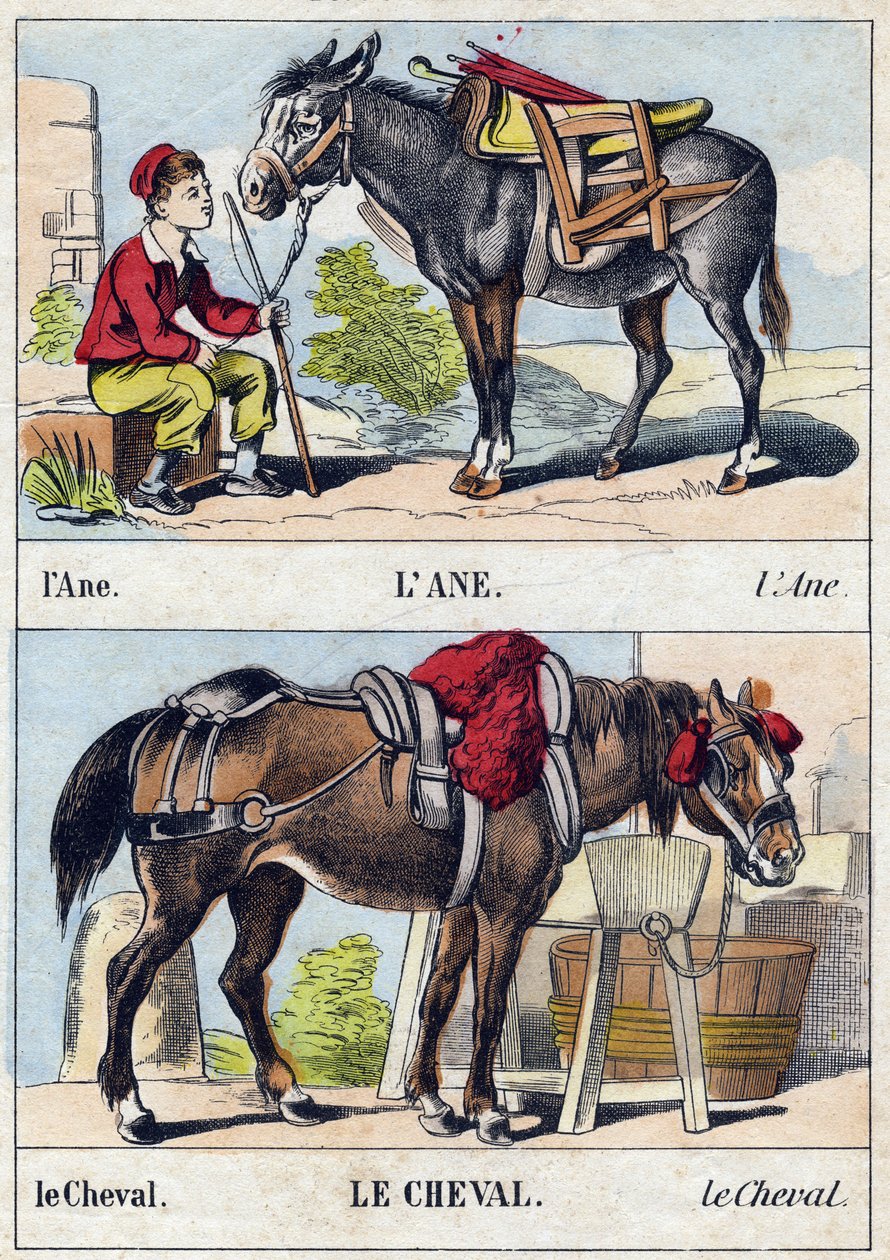 O burro e o cavalo. Gravura em "Buffon Alphabet des Animaux". 3ª Série N 1. Imaging of Epinal, Epinal, final do século XIX. 16 páginas. Dim: 28x21cm de French School