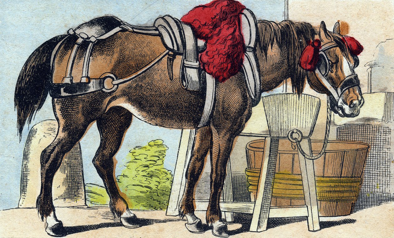 O cavalo. Gravura em "Buffon Alphabet des Animaux". 3ª Série N 1. Imaging of Epinal, Epinal, final do século XIX. 16 páginas. Dim: 28x21cm de French School