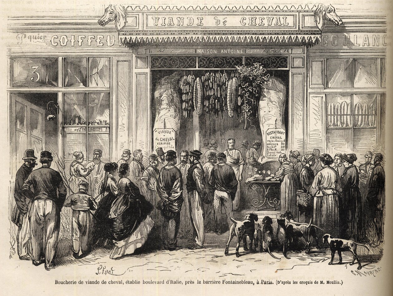 O talho do cavalo na barriere de Fontainebleau (Paris) abriu em 1866 - talho chevaline - Boucherie Meat de Cheval Boulevard Italie pres de la barriere de Fontainebleau 1866) Gravura em "Le monde illustrious" de 1866 de French School