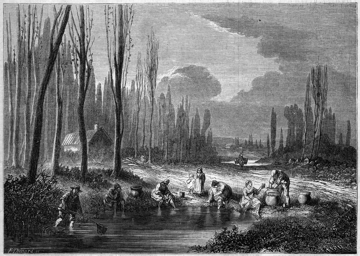 A pesca da sanguessuga nas proximidades de Versalhes de French School