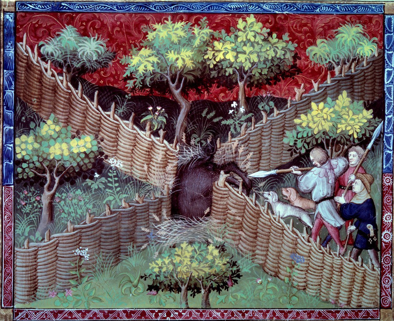 A caça ao javali em miniatura tirada de "O livro de caça" de Gaston III Phoebus, Conde de Foix, Senhor de Bearn (1331-1391) de French School