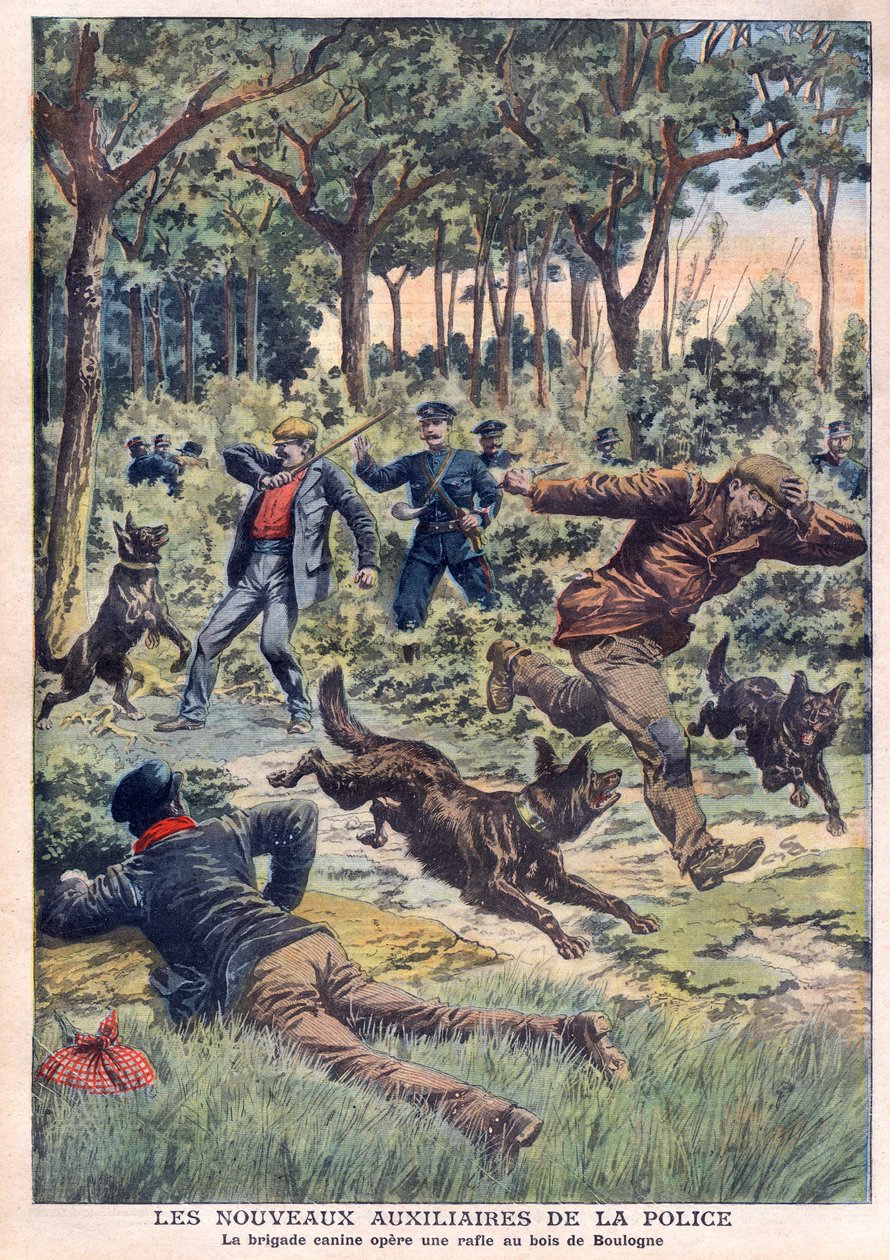 Os novos auxiliares de polícia: a brigada canina opera uma ronda no Bois de Boulogne, ilustração do "Le Petit Journal" de 28 de julho de French School