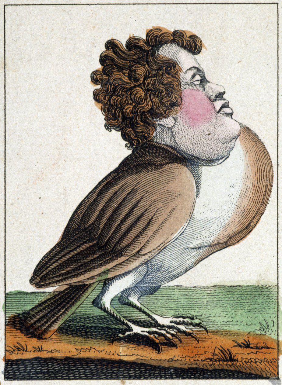 O pombo em Caricatura, estudo do carácter "volátil" sd. 19º, imaginário popular. de French School