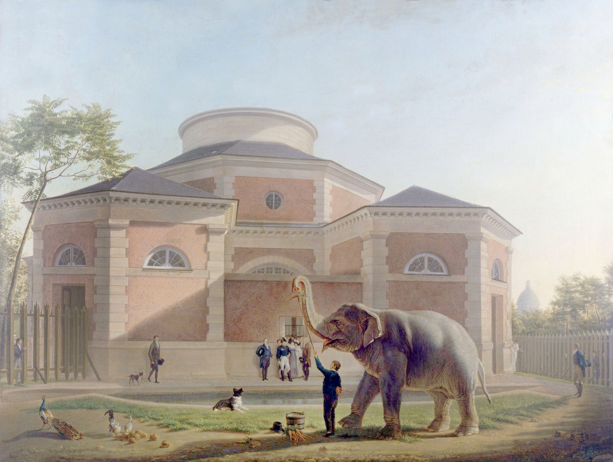 A rotunda no Jardin des Plantes, Paris, c. 1810 (pintura) de French School