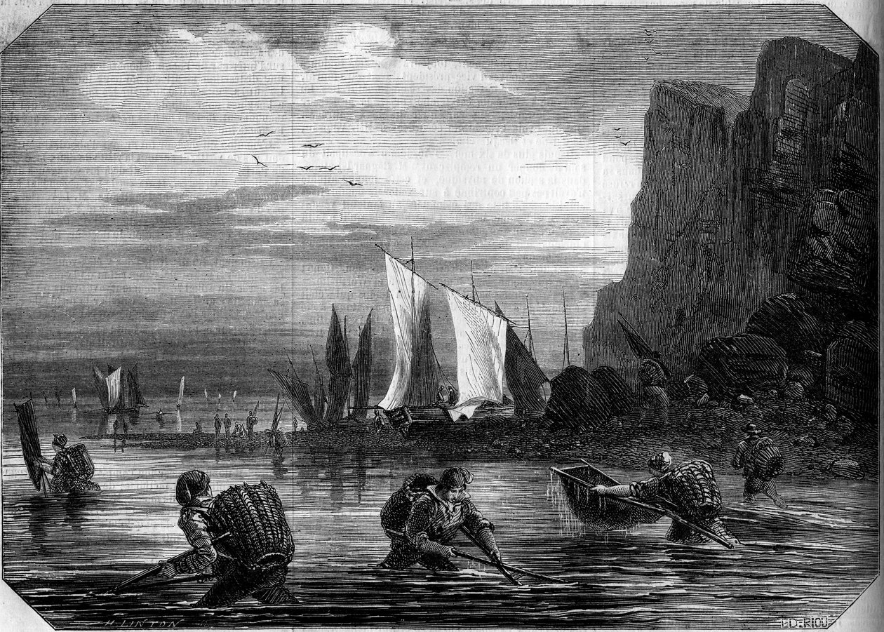 A pesca do camarão nas proximidades de Le Havre, Seine Maritme (76) de French School