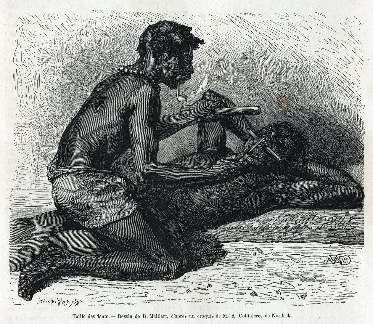 O tamanho dos dentes no Okanda, desenho de D. Maillard, para ilustrar a história de uma viagem ao Gabão e ao rio Ogoue em 1875-1877, de Alfred Marche. Gravura em Le tour du monde de French School