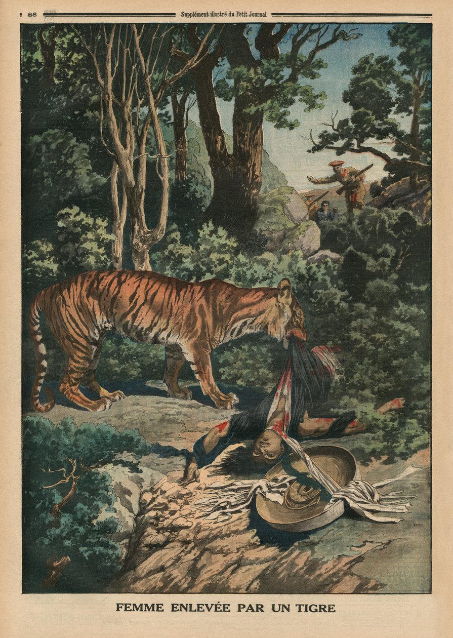 Tigre atacando uma mulher, ilustração da capa do &39;Le Petit Journal&39;, suplemento ilustrado, 15 de março de 1914 de French School