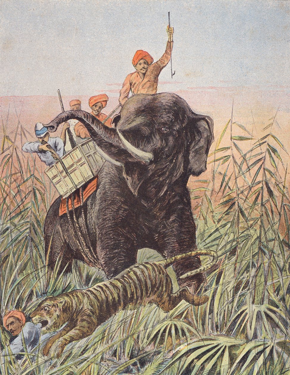Caça ao tigre, Índia (litografia a cores) de French School