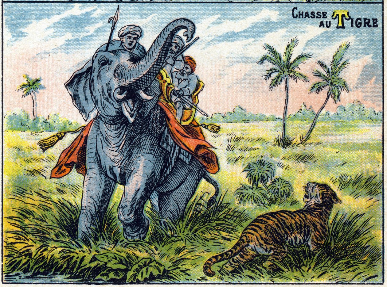 Cena de caça ao tigre nas costas de um elefante. Alfabeto sílabar de caçadas Imaging of Epinal de French School