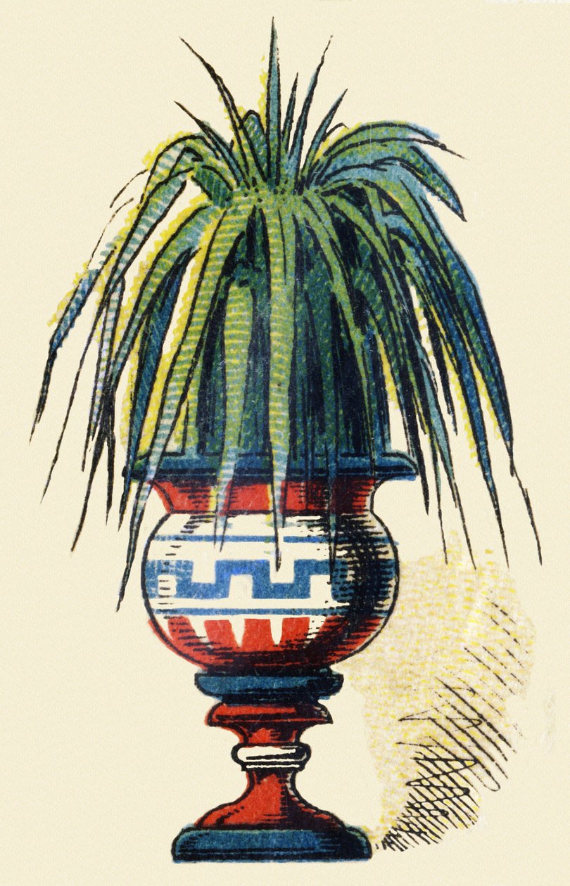 Imagem desconhecida de French School