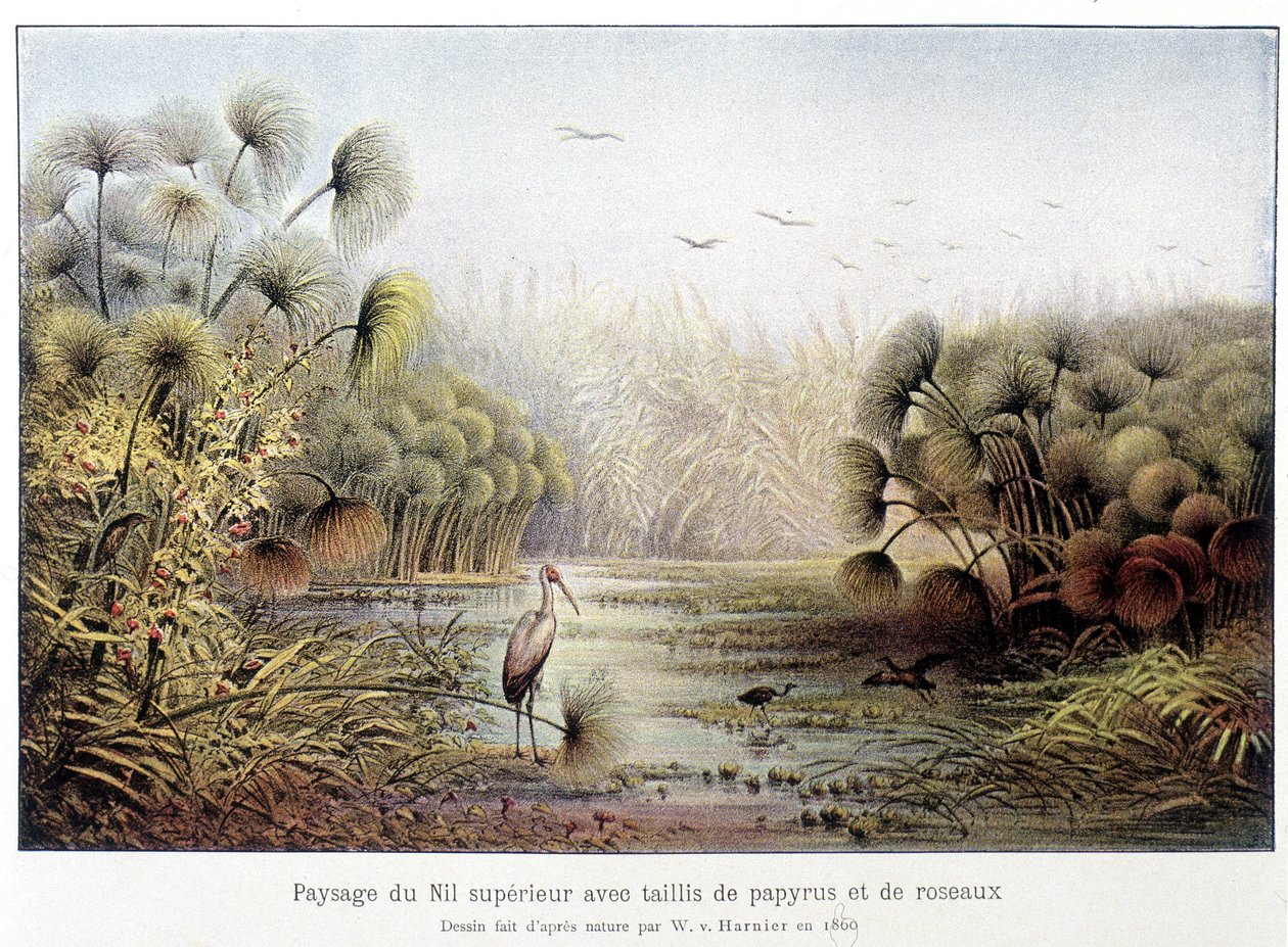 Passagem do Alto Nilo com papiro e talhadia de caniço. de French School