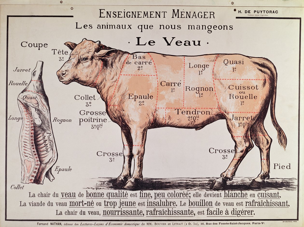 Vitela: diagrama representando os diferentes cortes de carne de French School