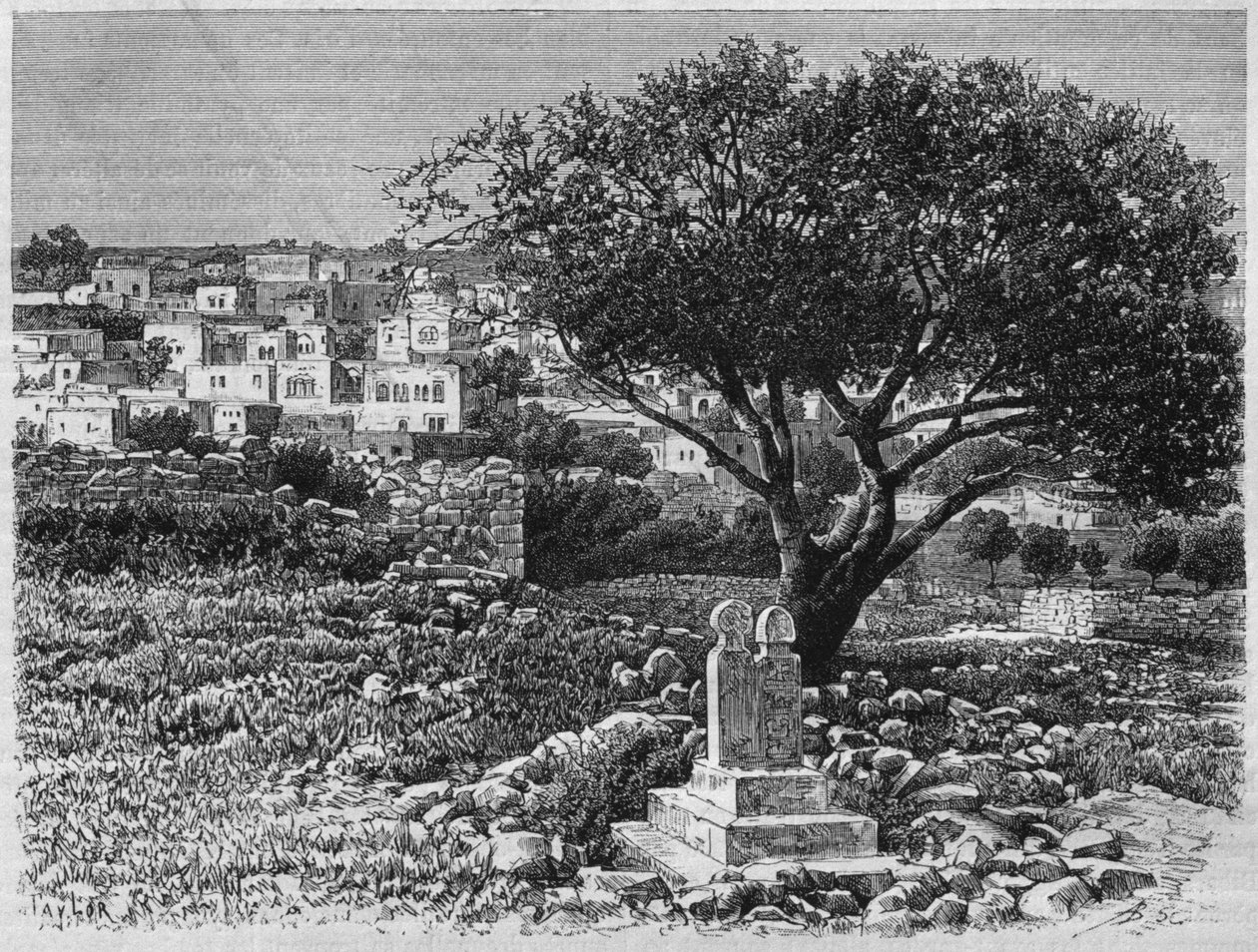Vista de Safed, da Síria hoje. Viajar para a Fenícia, o Líbano e a Judéia. 1875-1880 de Louis Charles Emile Lortet, 1884 (gravura do bw) de French School