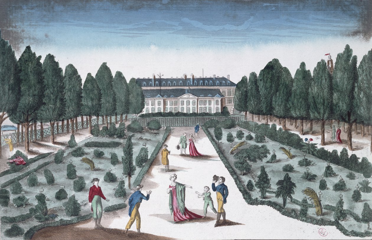Vista, de, a, jardin des plantes, de, a, trilhos, perto, a, sena, (color, engraving) de French School