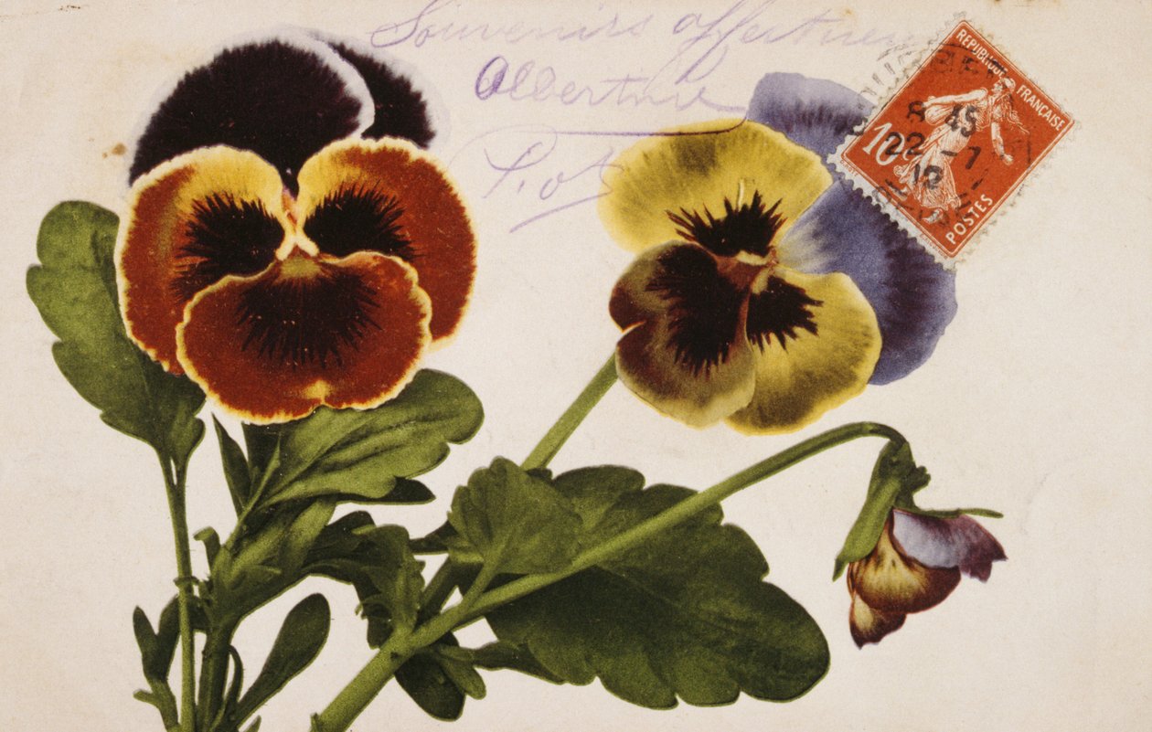 Postal francês vintage com decorações florais de French School