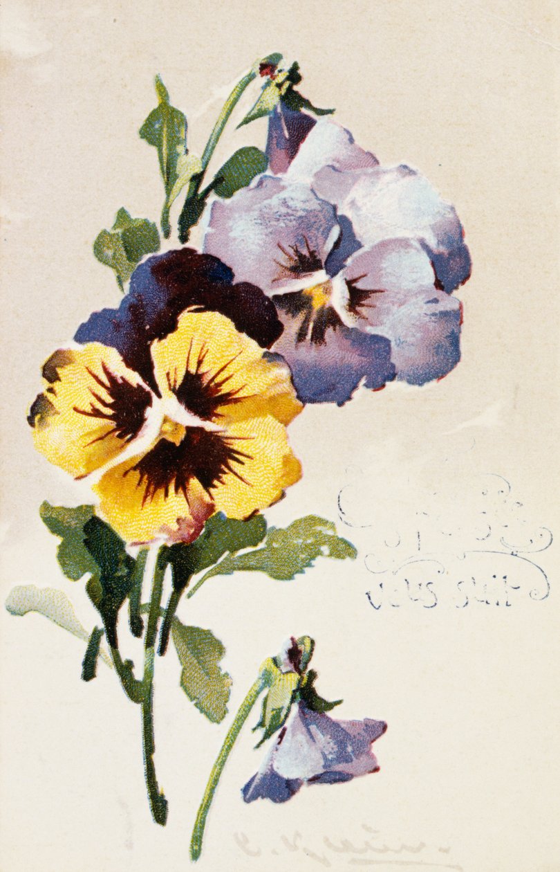 Postal francês vintage com decorações florais de French School