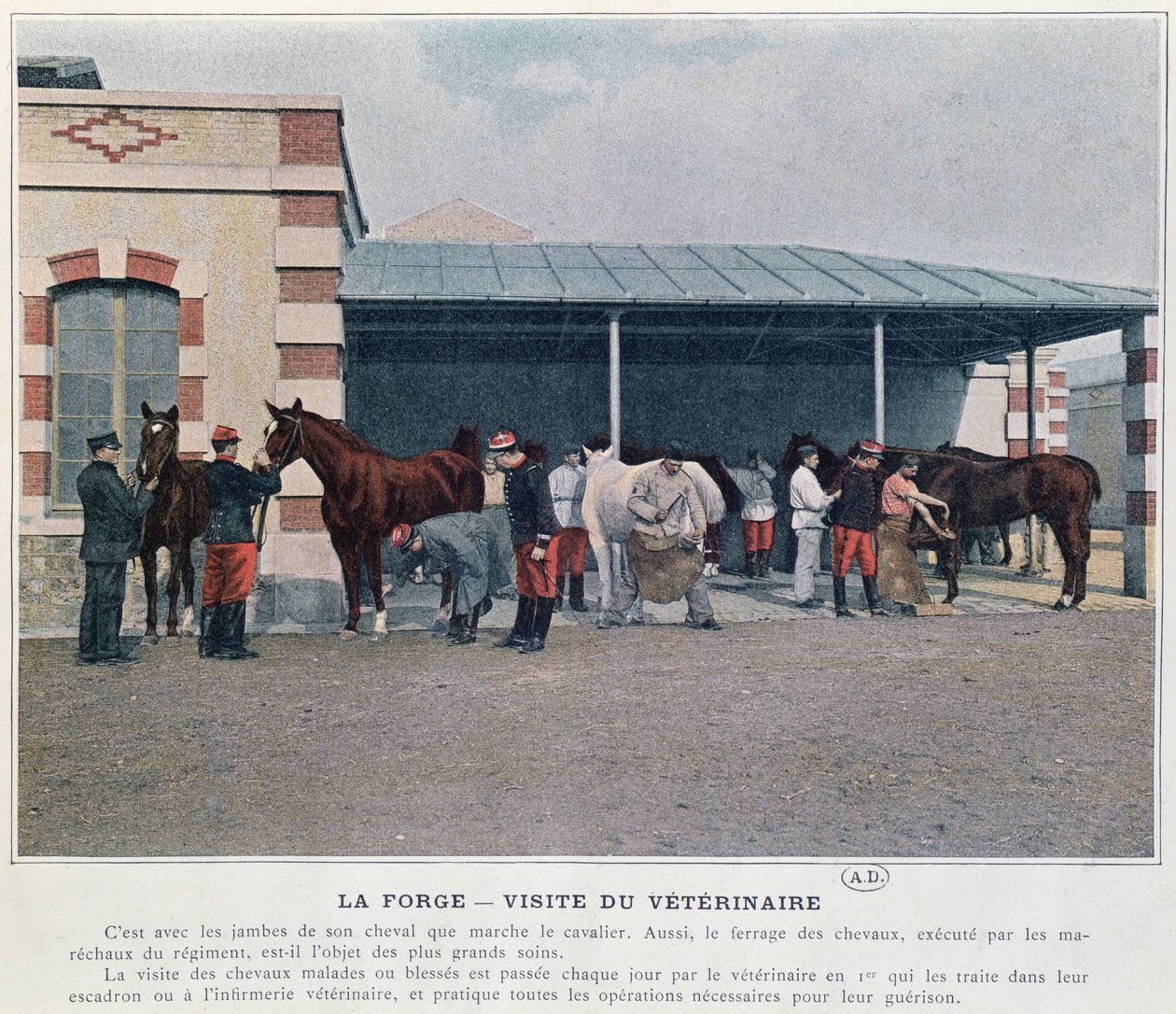 Visita do Veterinário do Exército ao Quartel, 1897 (cor lito, depois de uma foto colorida) de French School