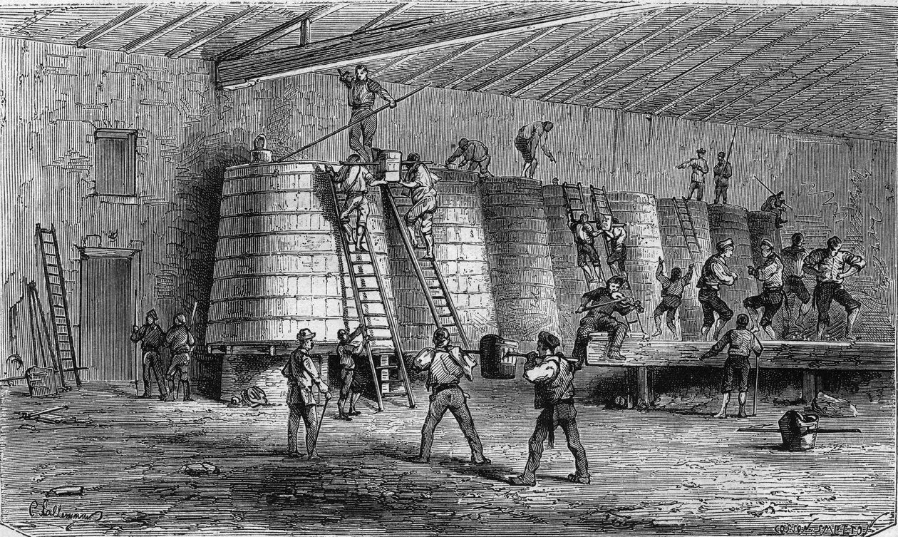 Viticultura no Medoc: trituração e lactação. Gravura em "Le Monde Illustre" n°561 de 11 de janeiro de 1868. de French School