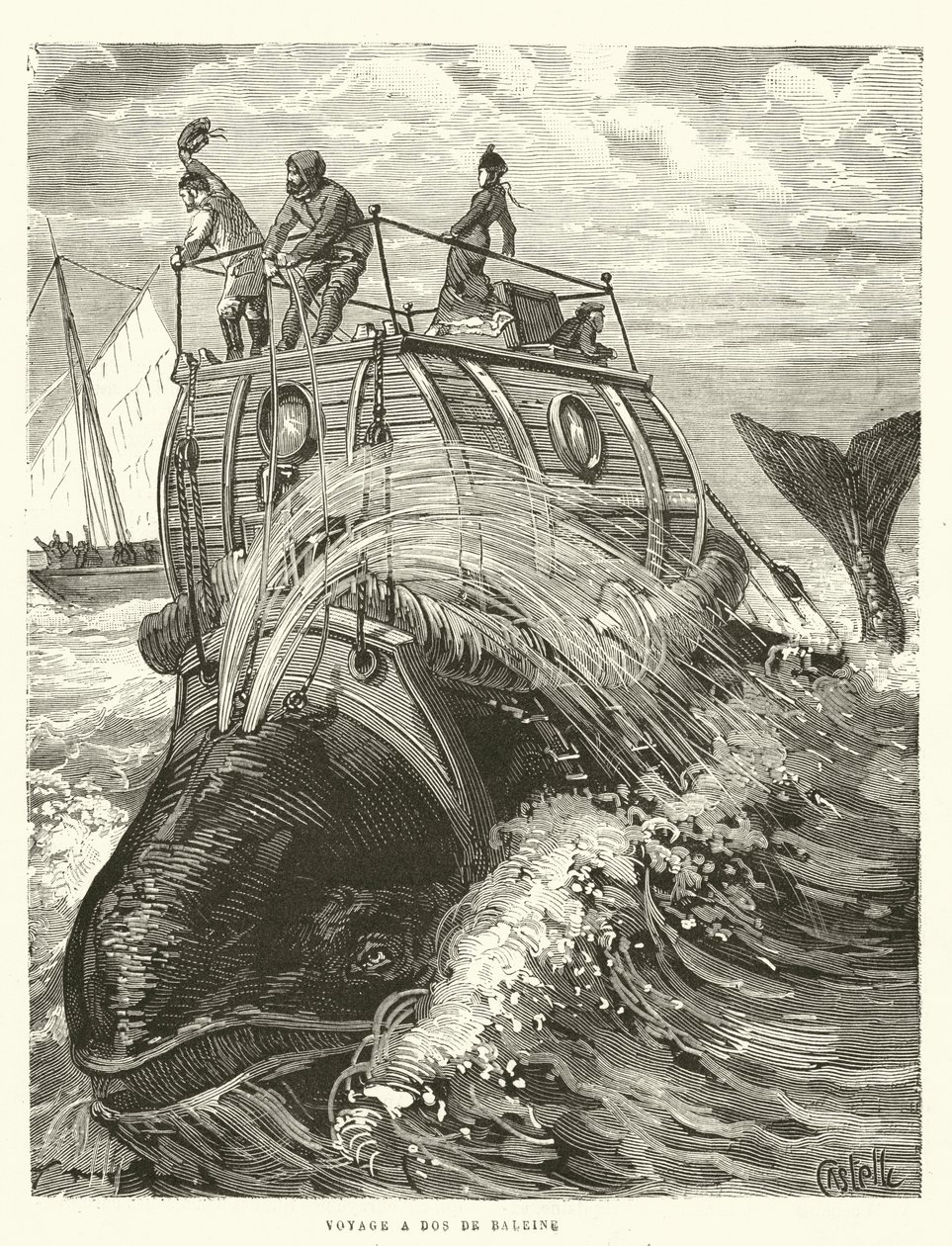 Voyage a Dos de Baleine (gravura) de French School