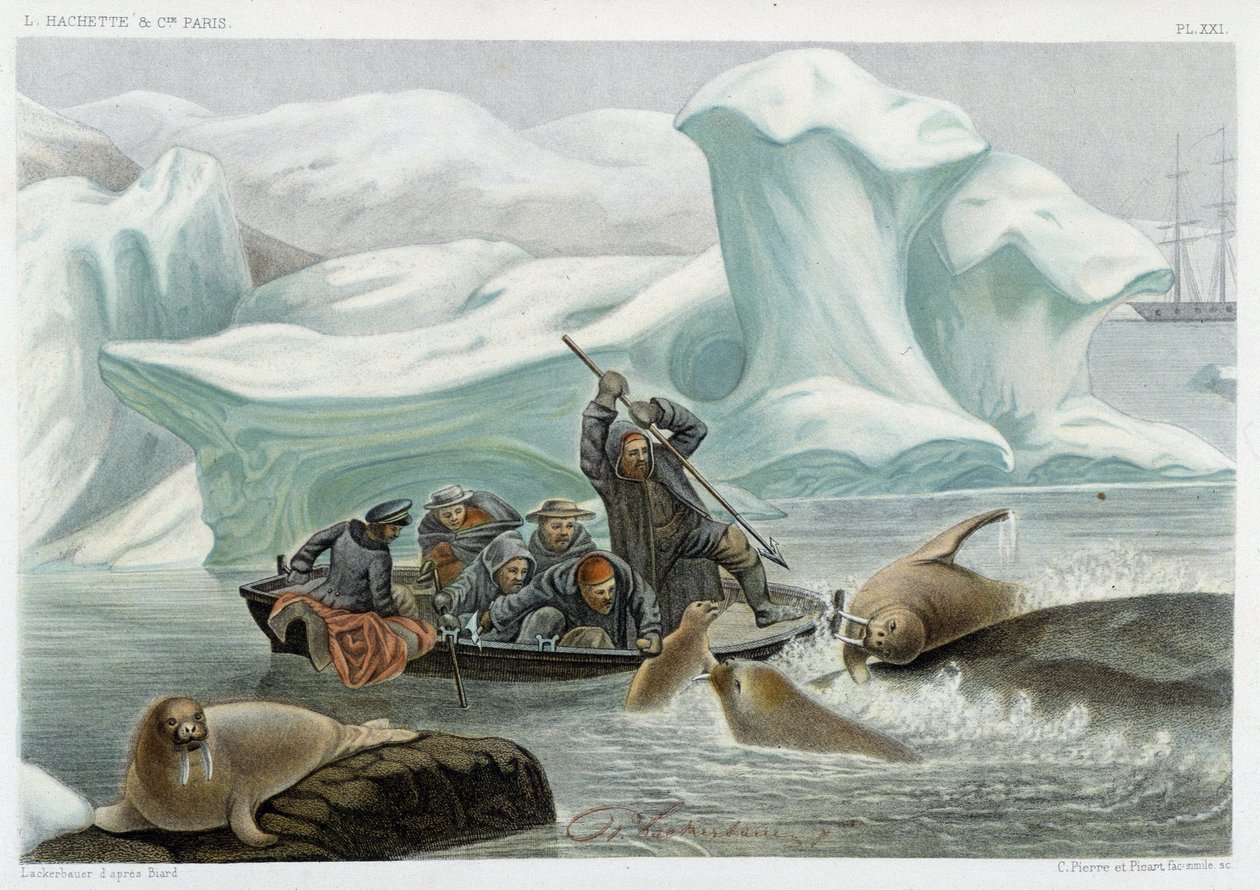 A caça à morsa - no "Le monde de la mer" de Alfred Fredol, Hachette, Paris de French School