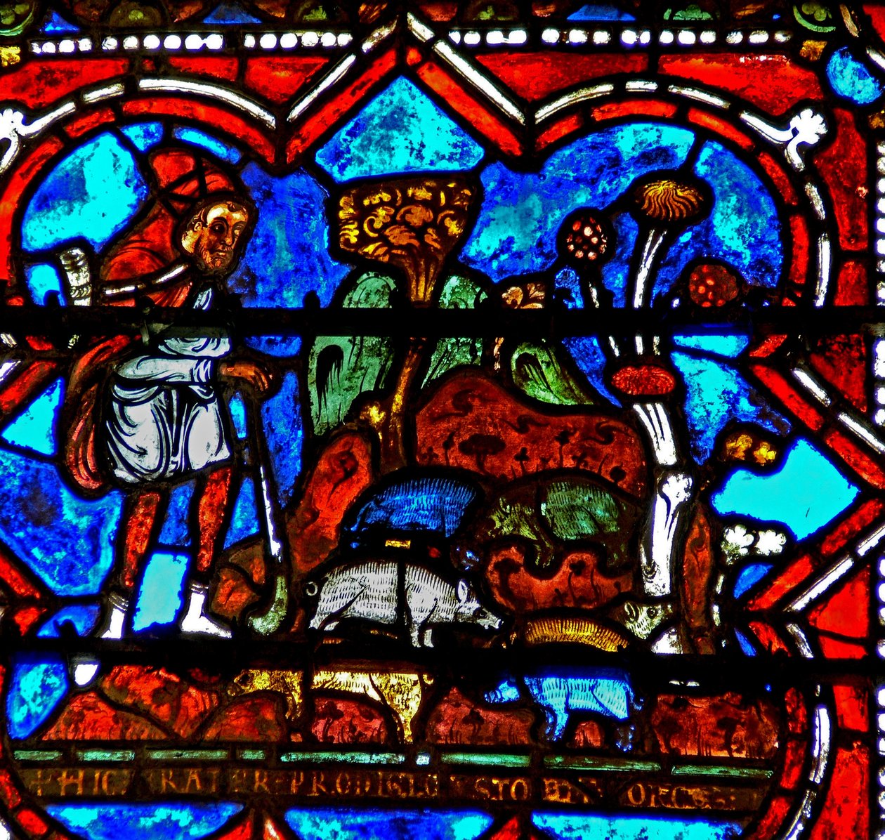 Window w17 retratando uma cena da história do Filho Pródigo: ele encontra trabalho cuidando de porcos de French School