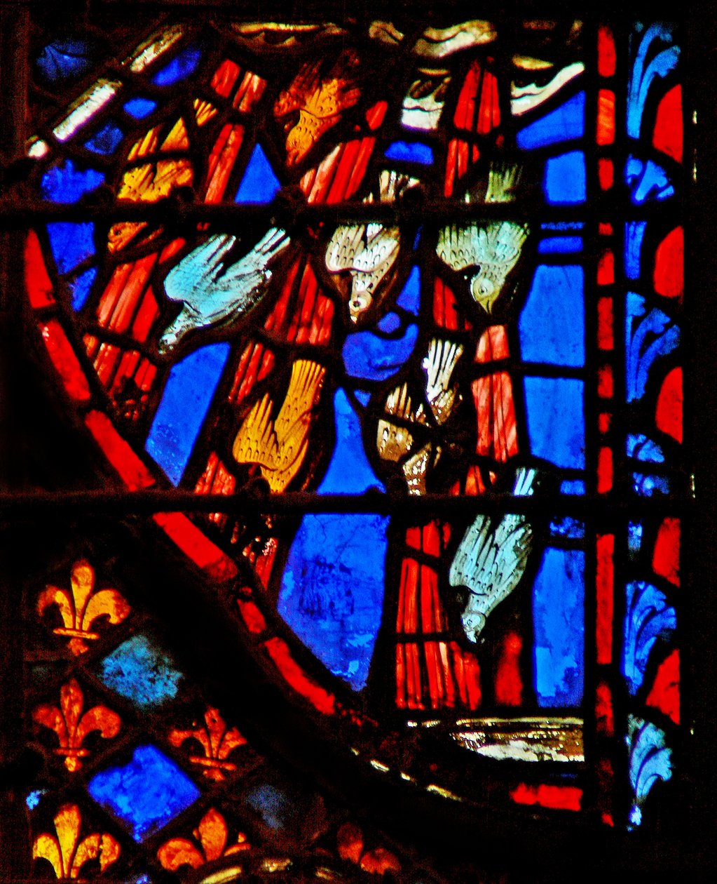 Janela w3 a Aparência da codorna Numb XI 31 de French School