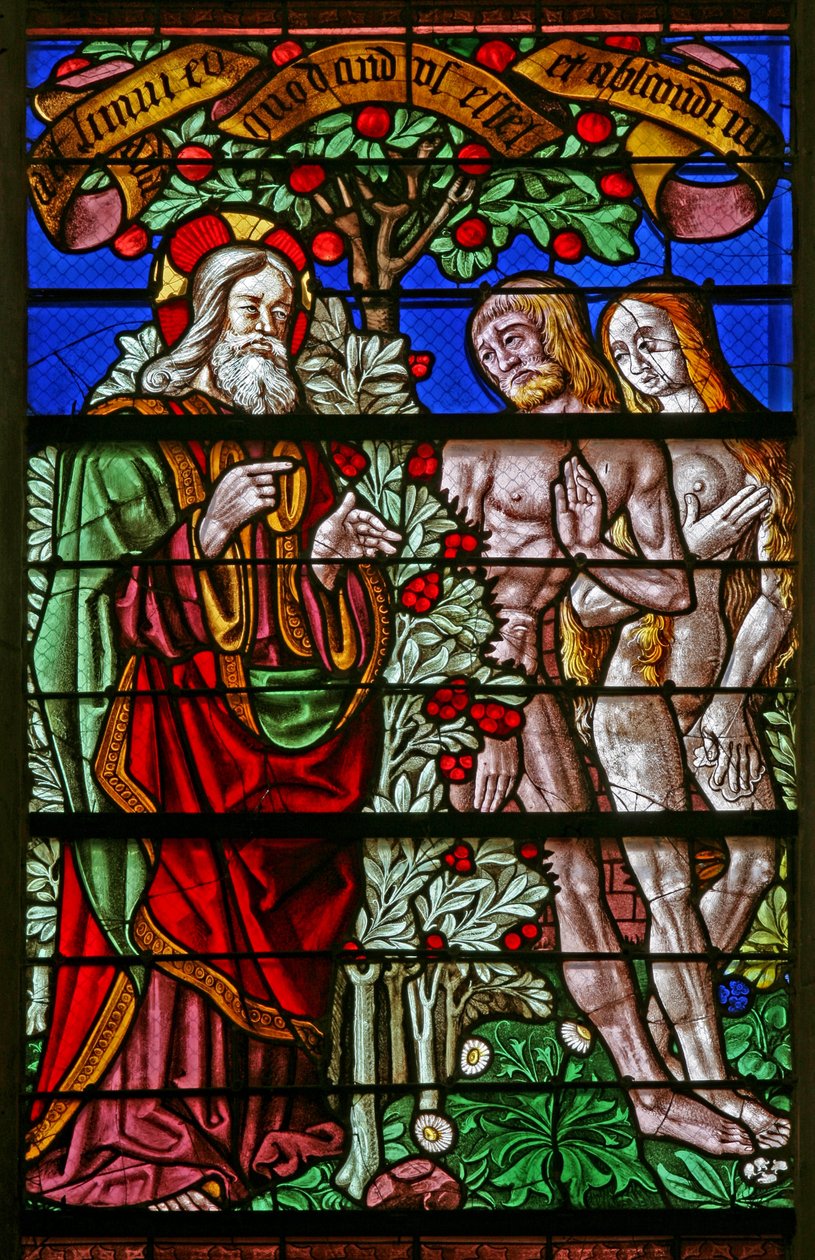 Janela w40 representando Adão e Eva descoberto com folhas de figueira de French School