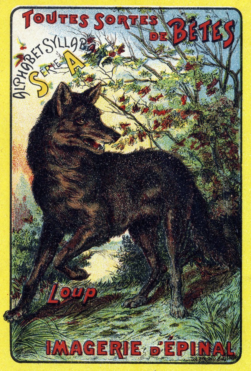 Lobo. Capa do "Alfabeto Syllabar todos os tipos de beterrabas". Serie A. Pellerin et Cie, impressores-editores, Epinal, final do século XIX. Cromolitógrafos. Pequeno álbum publicitário de 8 páginas contendo um silabário e uma imagem acompanhada de textos d de French School