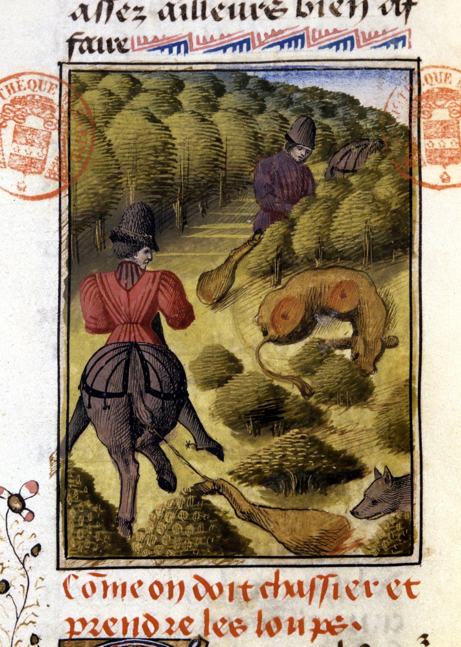 Wolf Hunting Book of Gaston Phoebus, Conde de Foix, Senhor de Béarn". de French School