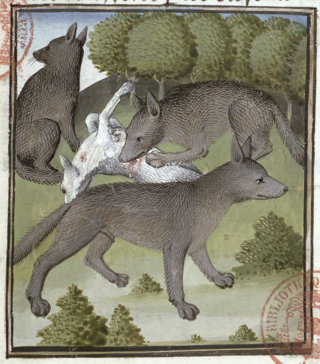 Lobos, do Livro de Caça de Gaston Phebus de French School