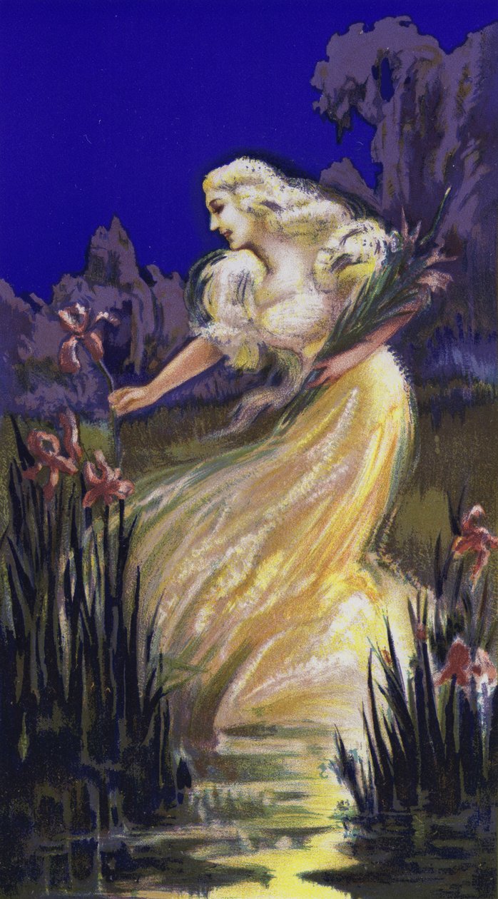 Mulher a apanhar íris (litografia a cores) de French School