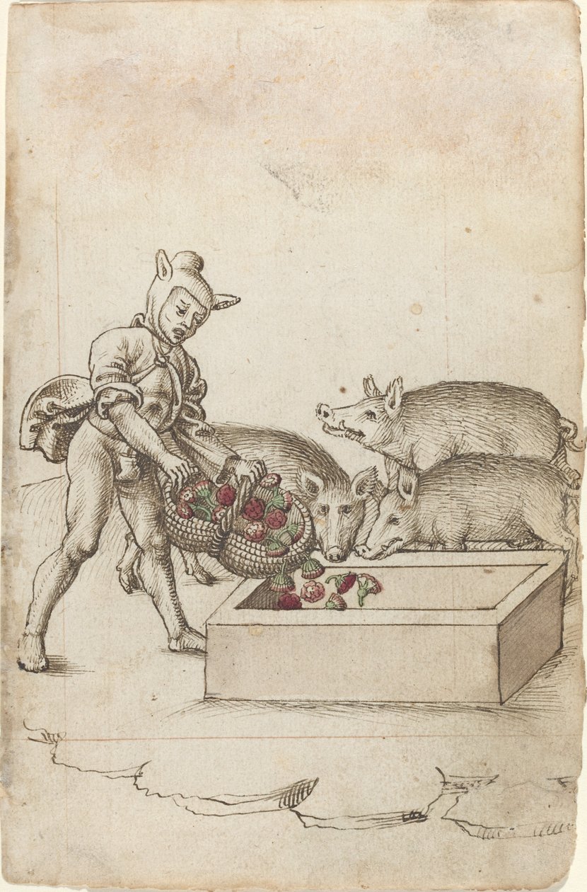Um tolo dando flores aos porcos [fol. 42 reto] de French early 16th Century