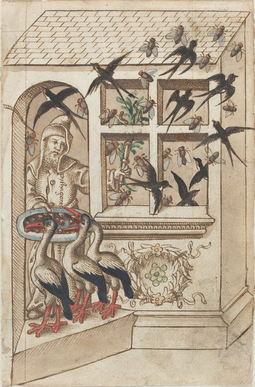 "Não tenha andorinhas debaixo do mesmo teto" [fol. 40 reto] de French early 16th Century