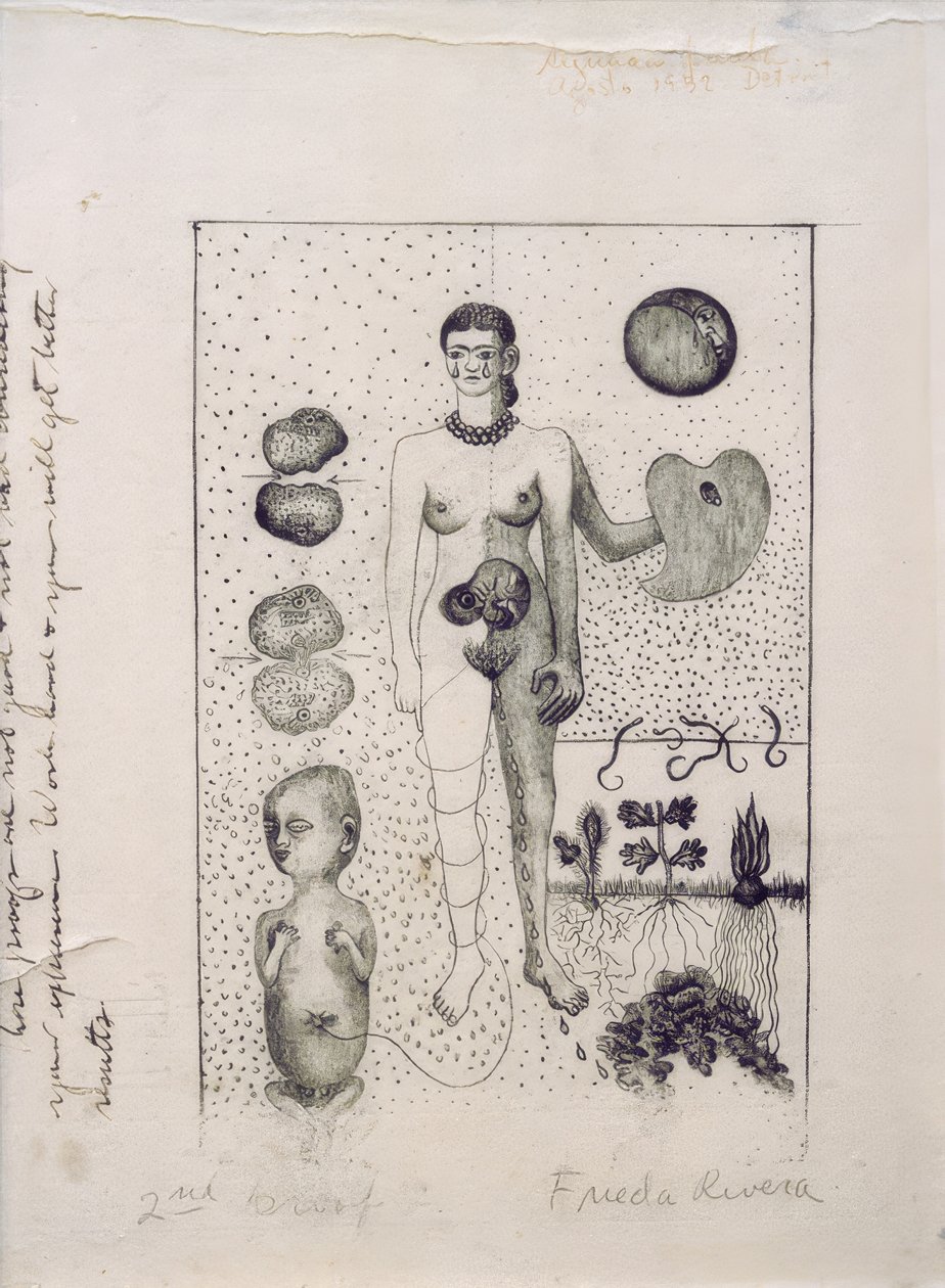 Frida e o aborto de Frida Kahlo